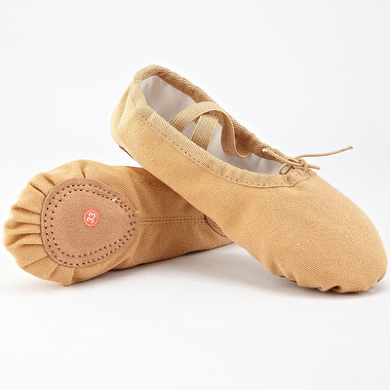 Soft Sole Exercise Ballet Shoes, Men’s Art Test, Ethnic Dance Shoes, Cat Claw Shoes